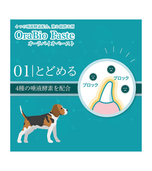 OraBio オーラバイオペースト